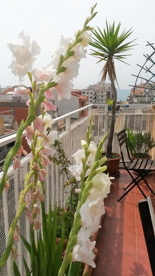 Apartamento Mediterraneo Pineda de Mar Bagian luar foto